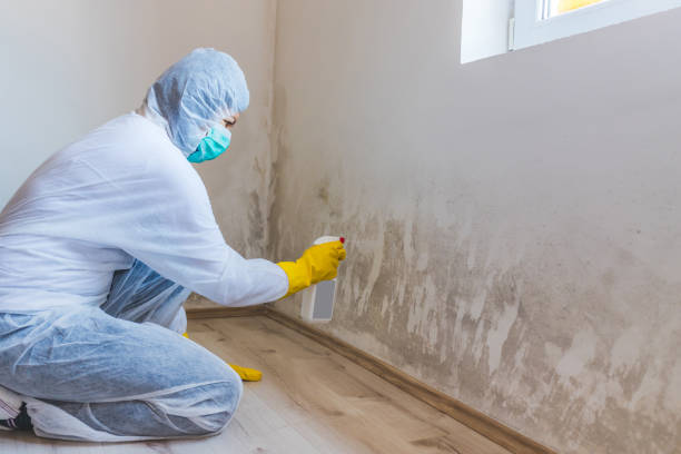 Licensed Commercial Mold Remediation service in Tualatin, OR - WQB Mold Removal