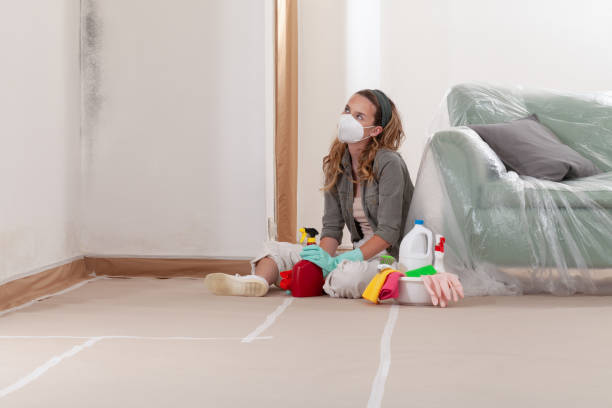 Reliable Commercial Mold Remediation contractor in Tualatin, OR by WQB Mold Removal