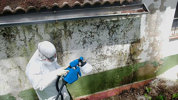 Top rated local Commercial Mold Remediation specialists in Tualatin, OR